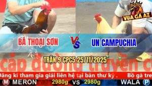 Trận 9 CPC5 25/11/2025 - Gà Úa Anh Un Campuchia Đâm Cựa Quá Nghiệt