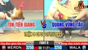 Trận 9 CPC6 3/11/2025 - Chuối Anh Quang Trồng Đất Phèn Không Thành