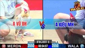 Tran 1 CPC3 30112025