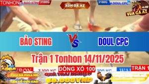 Trận 1 Tonhon 14/11/2025