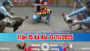 Trận 15 Xà Xía 13/11/2025
