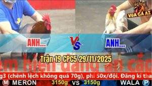 Trận 19 CPC5 29/11/2025