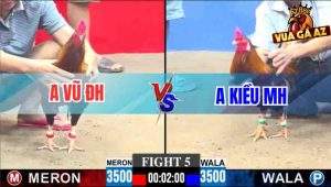 Tran 2 CPC3 30112025