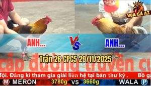 Trận 26 CPC5 29/11/2025