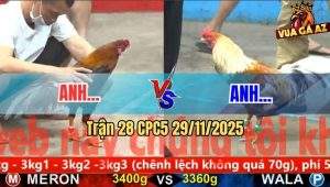 Trận 28 CPC5 29/11/2025