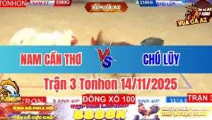 Trận 3 Tonhon 14/11/2025