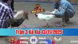 Trận 3 Xà Xía 13/11/2025