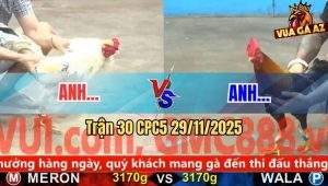 Trận 30 CPC5 29/11/2025