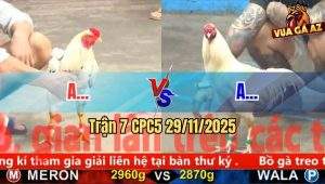 Trận 7 CPC5 29/11/2025