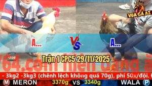 Trận 1 CPC5 29/11/2025