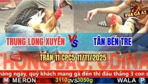 Trận 11 CPC5 11/11/2025