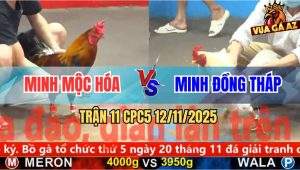 Trận 11 CPC5 12/11/2025