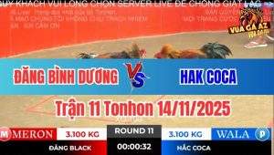 Trận 11 Tonhon 14/11/2025