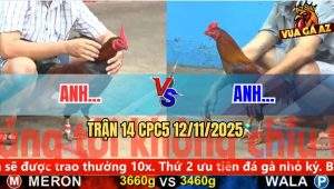 Trận 14 CPC5 12/11/2025