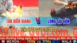 Trận 14 CPC5 13/11/2025