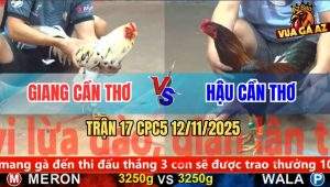 Trận 17 CPC5 12/11/2025