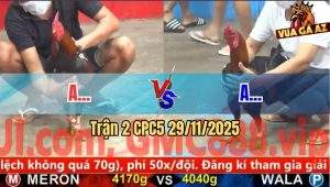 Trận 2 CPC5 29/11/2025