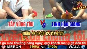 Trận 29 CPC5 12/11/2025