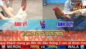 Trận 29 CPC5 13/11/2025