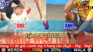Trận 3 CPC5 13/11/2025
