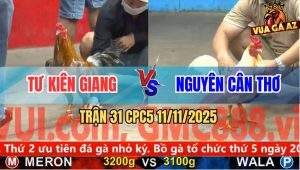 Trận 31 CPC5 11/11/2025