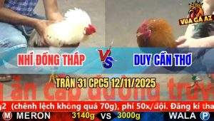 Trận 31 CPC5 12/11/2025