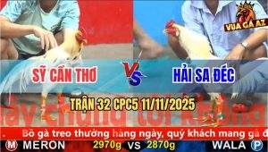 Trận 32 CPC5 11/11/2025