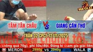 Trận 32 CPC5 12/11/2025