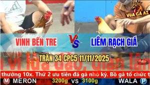Trận 34 CPC5 11/11/2025