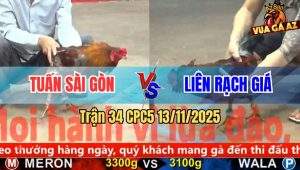 Trận 34 CPC5 13/11/2025