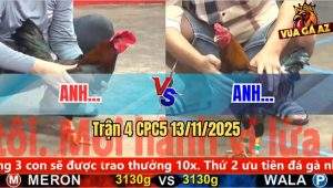 Trận 4 CPC5 13/11/2025