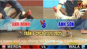 Trận 6 CPC4 11/11/2025