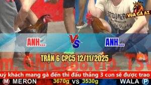 Trận 6 CPC5 12/11/2025