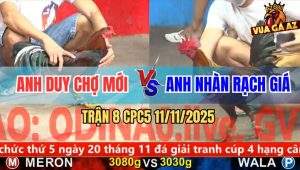 Trận 8 CPC5 11/11/2025