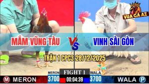 Trận 1 CPC3 28/12/2025 - Điều Cọp Anh Mắm Khai Đao Đúng 3 Chân Có Tiền