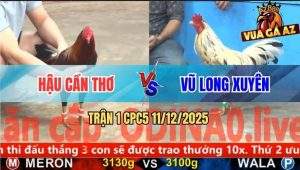 Trận 1 CPC5 11/12/2025 - Bướm Anh Vũ Mở Bát Đá Gà Điều Sổ Huyết