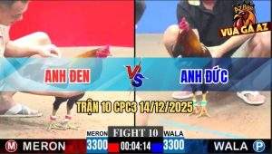 Trận 10 CPC3 14/12/2025 - Xanh Đá Mẻ Hiệu Tính GaKing Không Kịp Tha Lơ