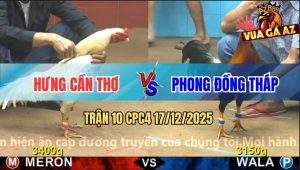 Trận 10 CPC4 17/12/2025 - Điều Lá Anh Nu Nhỏ Mà Khôn Đâm Bướm La Làng