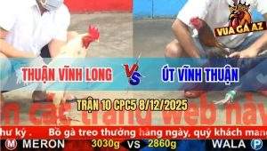 Trận 10 CPC5 8/12/2025 - Bướm Anh Thuận Đá Quá Ác Gà Xám Chạy Cắm Đầu