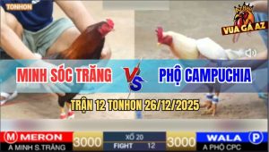 Trận 12 TonHon 26/12/2025 - Gà Anh Minh Tiếp Tục Đá Gà Anh Phộ La Làng