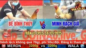 Trận 13 CPC5 24/12/2025 - Gà Anh Minh Né Hay, Đâm Xám Sụm Tỳ Rụng Nụ