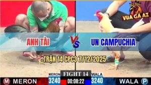 Trận 14 CPC3 7/12/2025 - Bướm Đá Cây Lưng Gà Que Sụm Tỳ Rụng Nụ