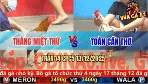 Trận 14 CPC5 13/12/2025 - Gà Xám Anh Thắng Miệt Thư Dập Như Cái Máy