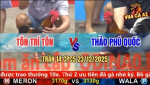 Trận 14 CPC5 23/12/2025 - Điều Lá Đá Điều Dâu Bại Liệt Trong Nốt Nhạc