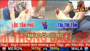 Trận 14 CPC5 9/12/2025 - Gà Anh Lộc Đâm Bướm Anh Tài Bại Liệt Tứ Chi