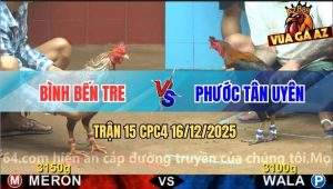 Trận 15 CPC4 16/12/2025 - Vô Bảng Điều Để Cây Cần Gà Cú Ngã Ngang