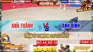 Trận 15 TonHon 23/12/2025 - Que Nhỏ Mà Ngông, Bướm Đá U Đầu Bỏ Chạy