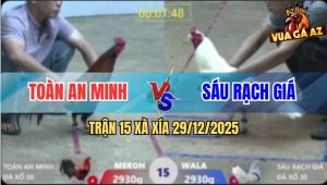 Trận 15 Xà Xía 29/12/2025 - Gà Điều Anh Toàn Phóng Bạc Và Cái Kết