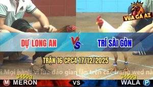 Trận 16 CPC4 17/12/2025 - Điều Cọp Anh Dự Đâm Quá Ác Úa Đút Vô Lìa Giò