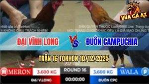 Trận 16 TonHon 10/12/2025 - Điều Chột Mắt Anh Đuôn Đâm Cựa Quá Ác